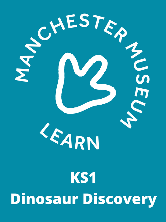 KS1 Dinosaur Discovery workshops: 2025-2026