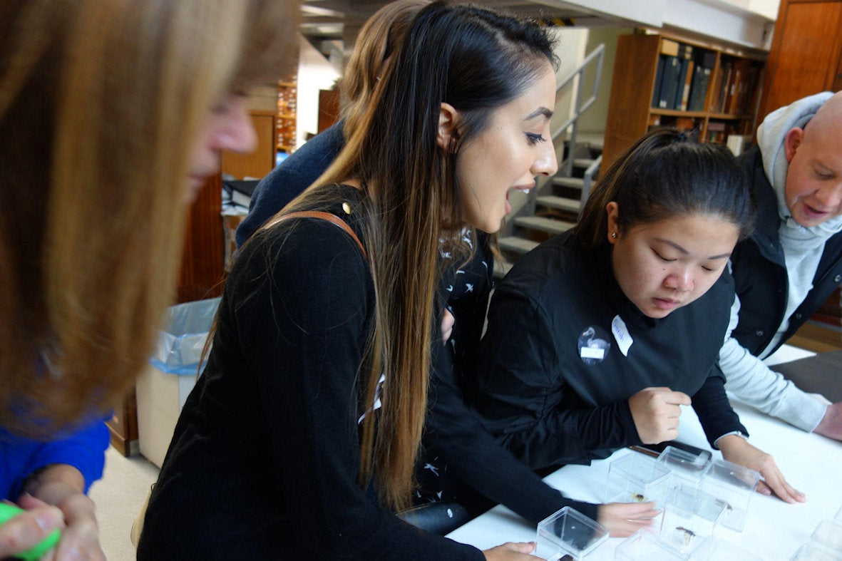 Teacher planning sessions: 2025-2026