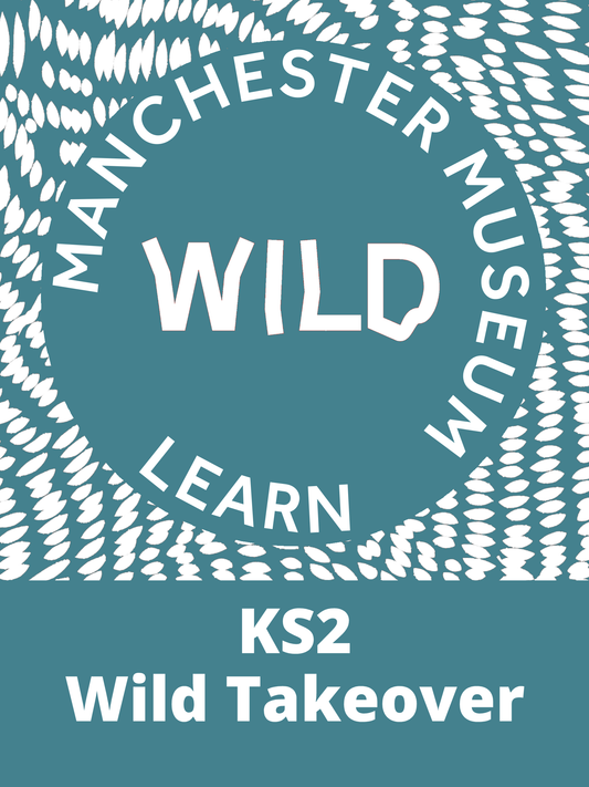 KS2 Takeover: Wild (Summer Term 2024)