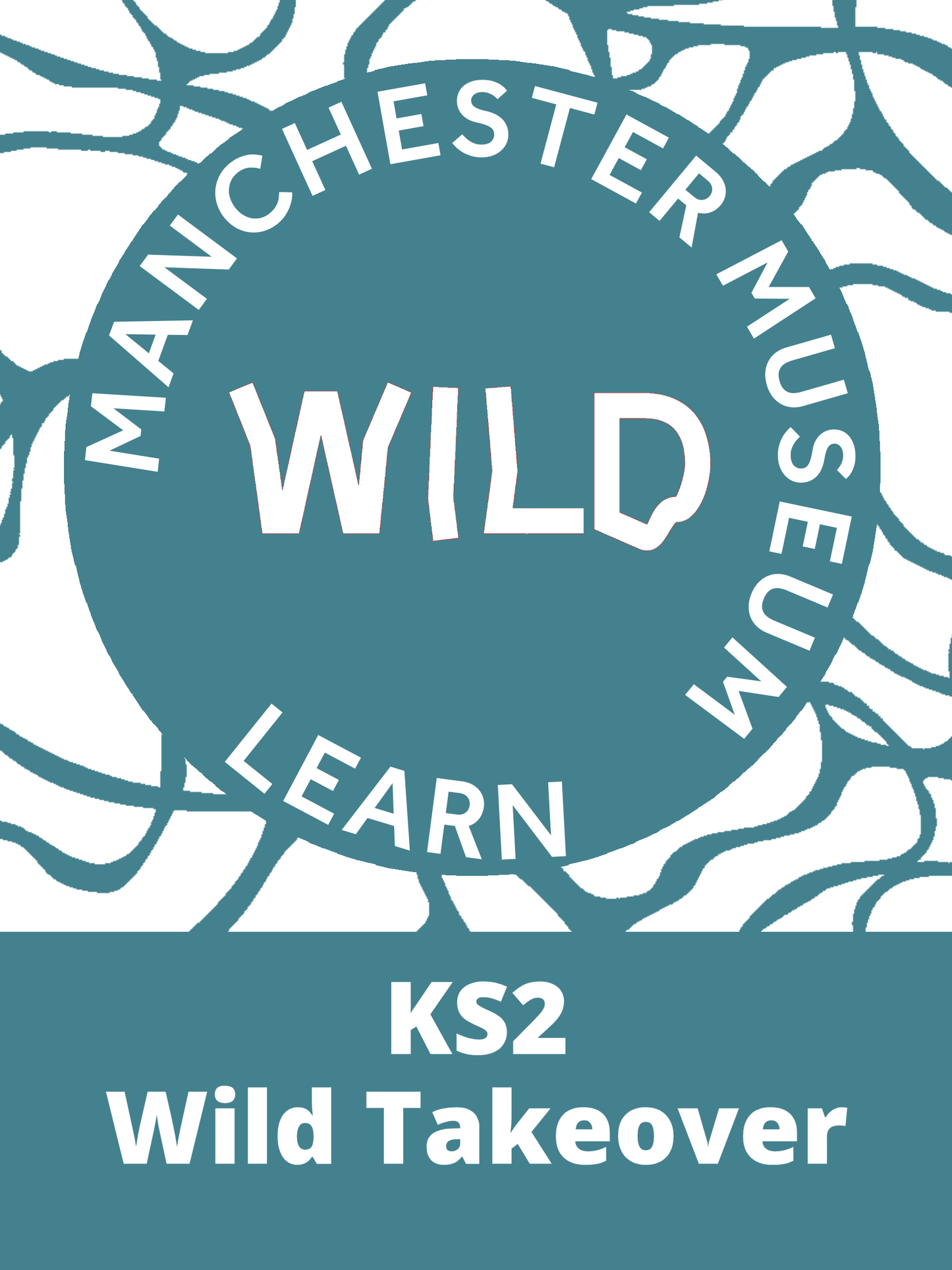 KS2 Takeover: Wild (Summer Term 2025)