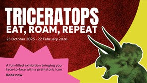 Home Educating Families Exhibition Special View: 'Triceratops: Eat, Roam, Repeat', Monday 15th December 2025